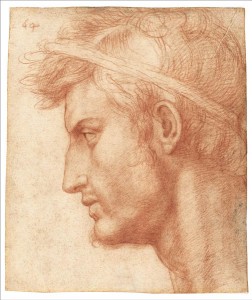Andrea del Sarto (1486–1530) Study for the Head of Julius Caesar, ca. 1520 Red chalk 8 7/16 x 7 1/4 inches The Metropolitan Museum of Art, New York, partial and promised gift of Mr. and Mrs. David M. Tobey ©The Metropolitan Museum of Art. Image source: Art Resource, NY